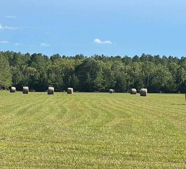 Beautiful Homesite