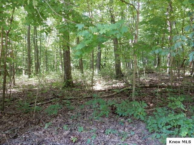 Lot 374 Highland Hills Subdivision, Howard, OH 43028 - photo 1