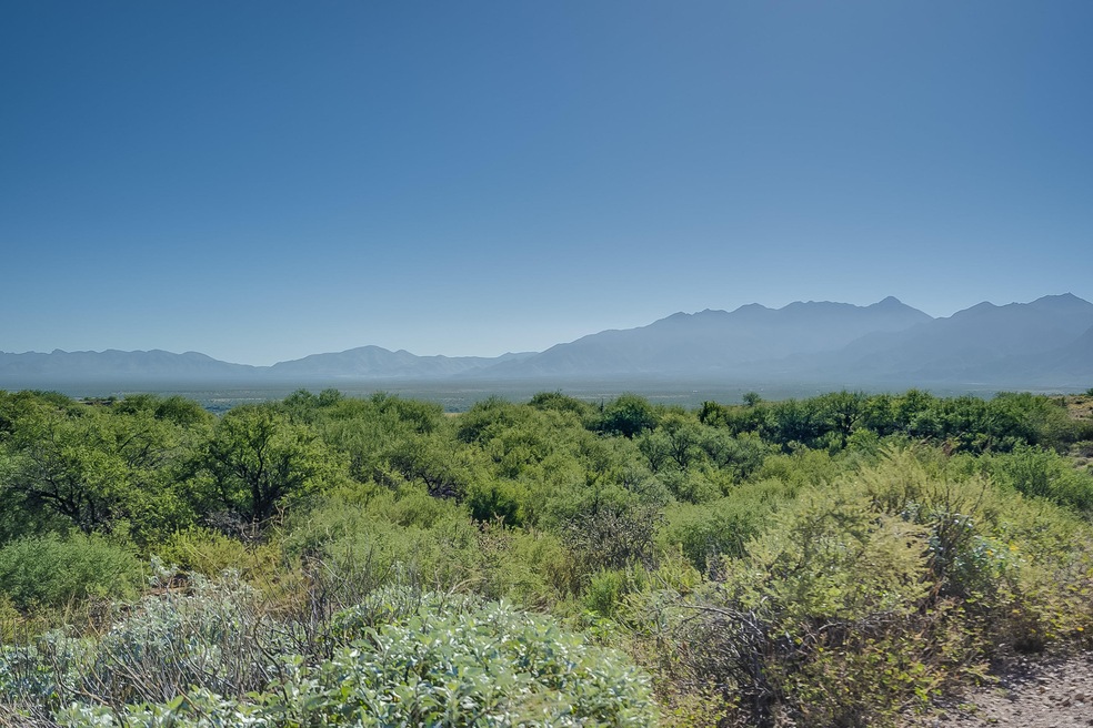 Acacia Canyon - HD - 42
