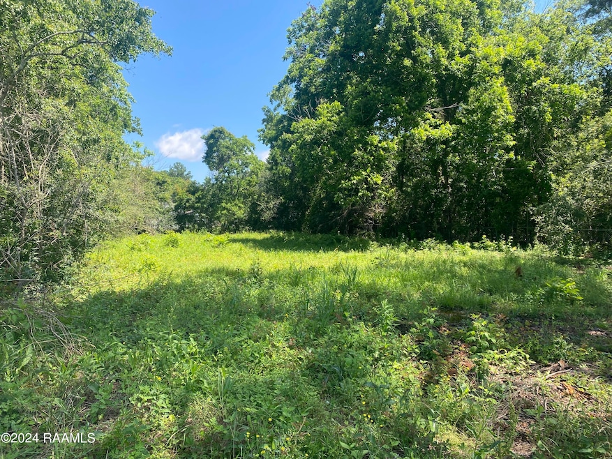 1850 Gum St, Basile, LA 70515 - photo 1