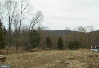 0 Noland Ridge Rd unit 1000215419, Slanesville, WV 25444 - photo 1