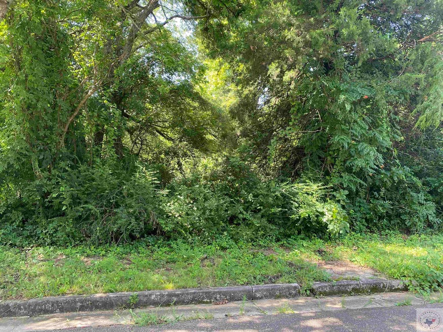 1219 W 6th St, Texarkana, TX 75501 - photo 1