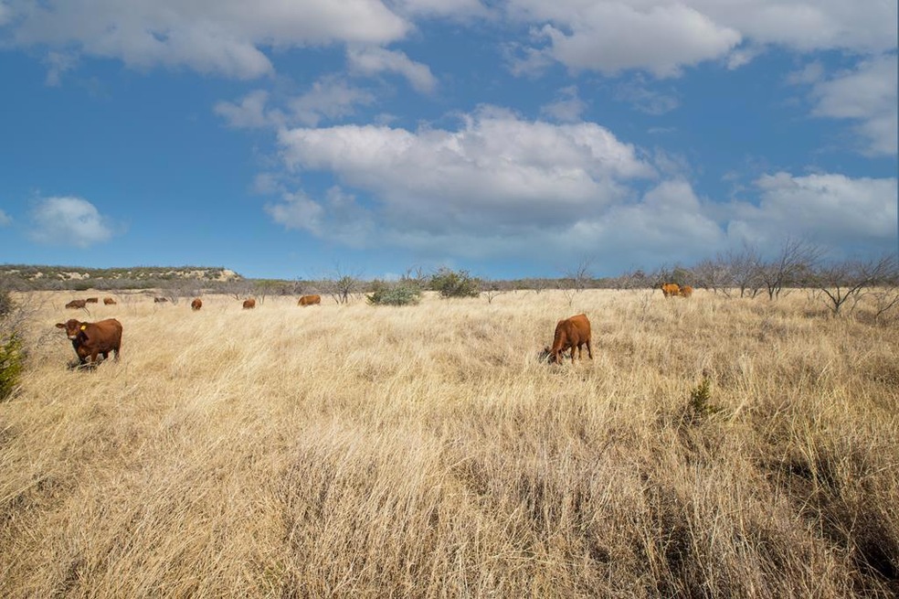 3 E Lower Crabapple Rd unit 3, Fredericksburg, TX 78624 - photo 1