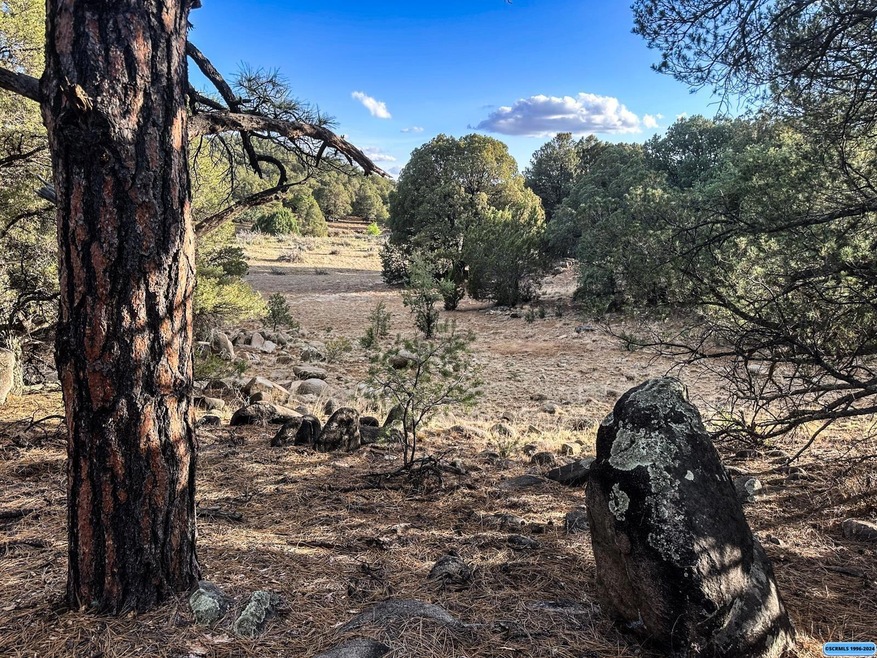 TBD Linda Dr, Silver City, NM 88061 - photo 1