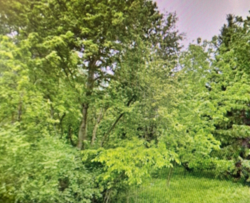 Wooded Country Acres