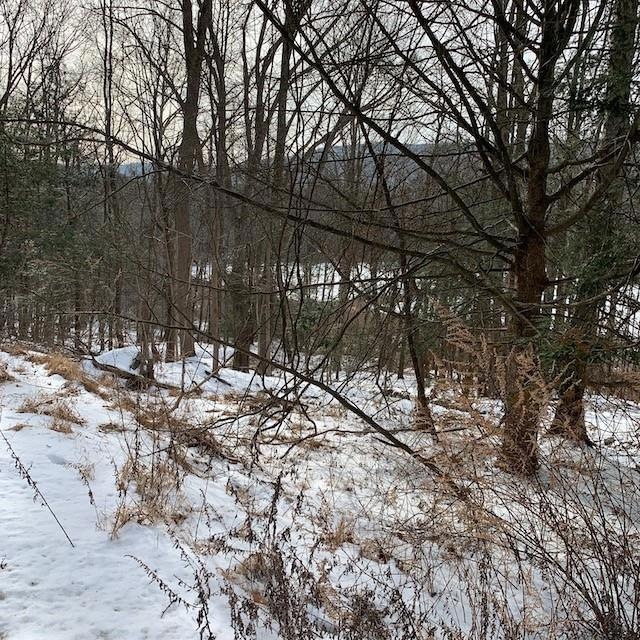 431 Oakland Valley Rd, Cuddebackville, NY 12729 - photo 1