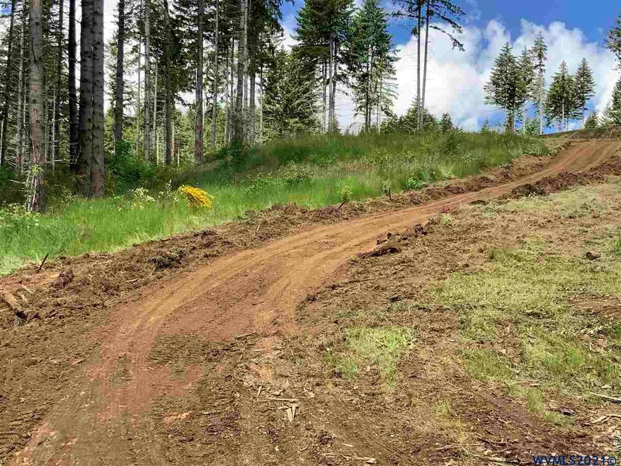 0 Swordfern Ridge Rd unit 778065, Blodgett, OR 97326 - photo 1