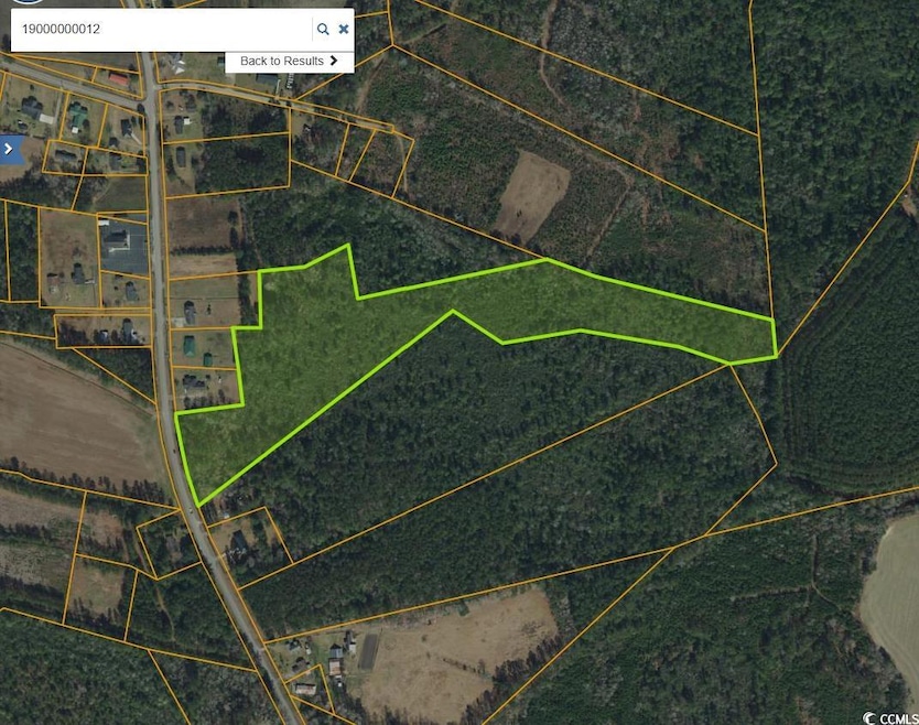 TBD Mount Olive Rd, Loris, SC 29569 - photo 1
