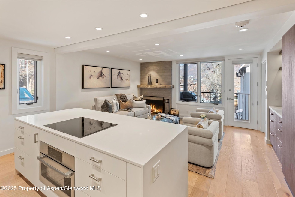 800 S Mill St unit 7B, Aspen, CO 81611 - photo 1