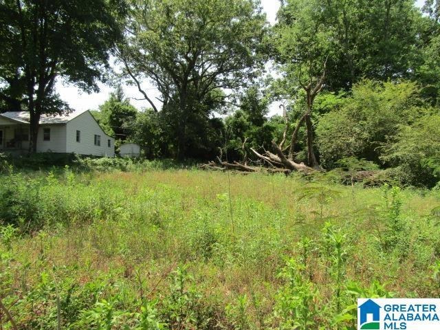 25 North St unit 1, Anniston, AL 36201 - photo 1