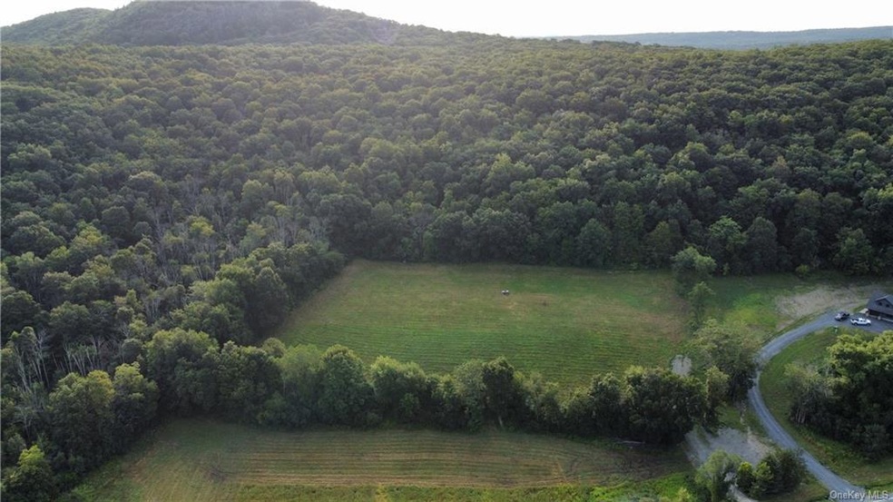 0 Kings Highway Bypass unit ONEH6258905, Chester, NY 10918 - photo 1