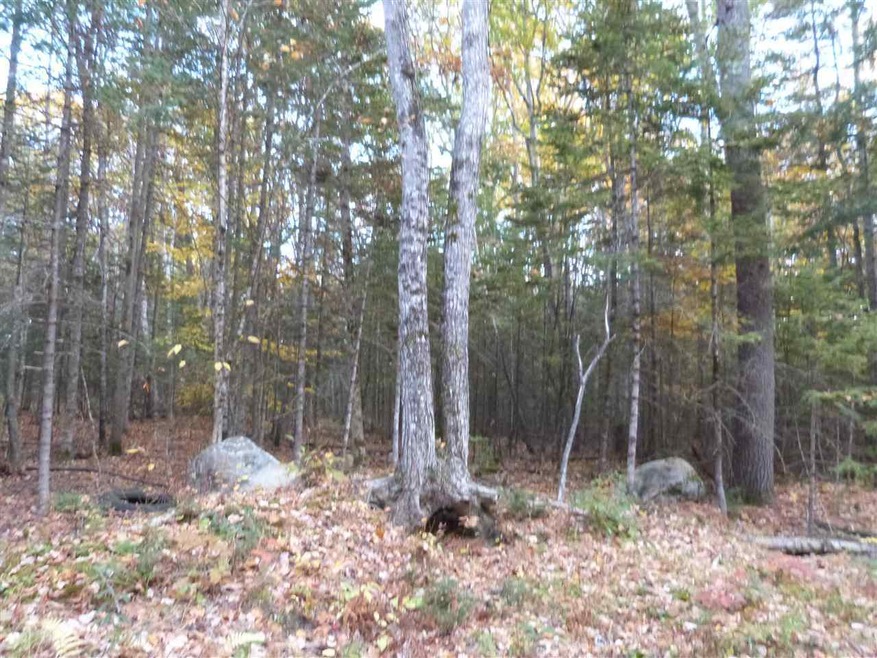 15 Harvest Ln, Tuftonboro, NH 03816 - photo 1