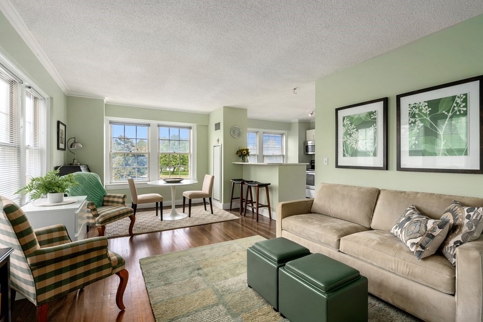 The Charlesview unit 307, Boston, MA 02215 - photo 1