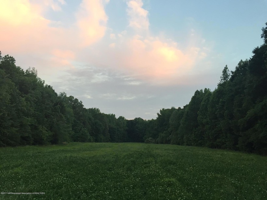 Land pic 1