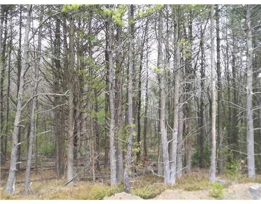 000 Bull Moose Dr, Lyman, ME 04002 - photo 1