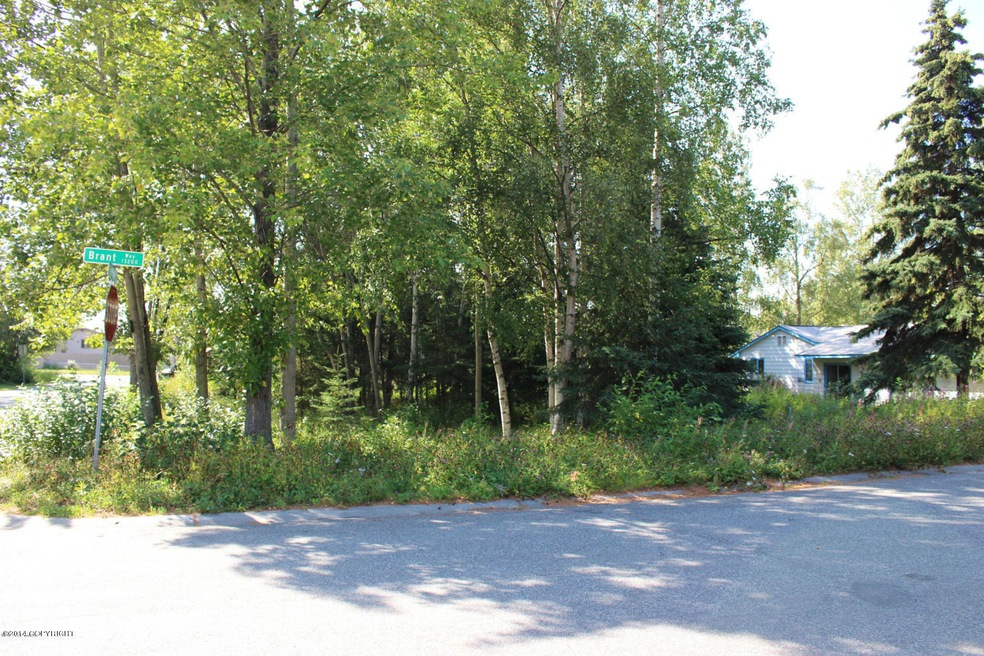 Corner Lot