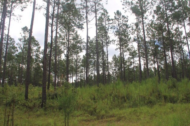 00 McDonald Rd, Thomasville, GA 31757 - photo 1