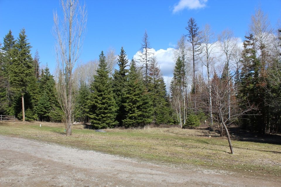 12629 Crane Mountain Rd, Bigfork, MT 59911 - photo 1