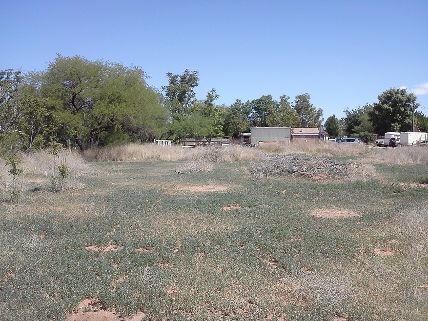 horse property