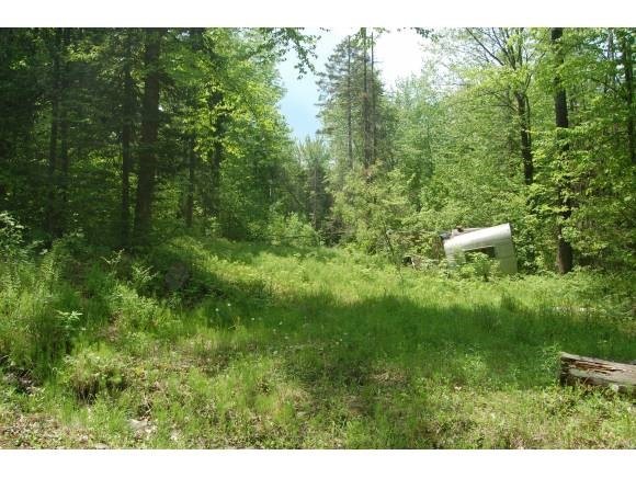 0 Buck unit 4242389, Dalton, NH 03598 - photo 1