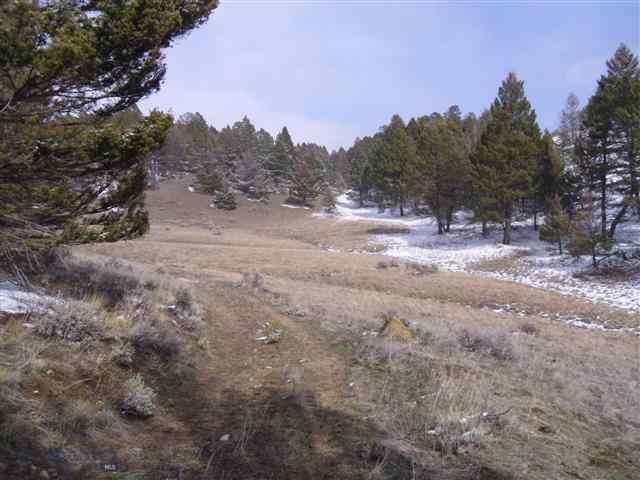meadow build site