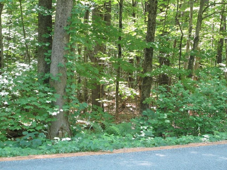 00 Old Chesterfield Rd, Winchester, NH 03470 - photo 1