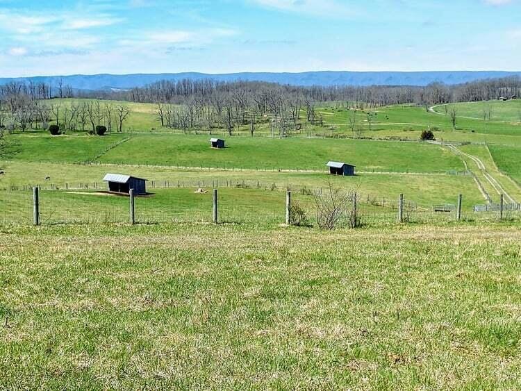 Ridgetop views