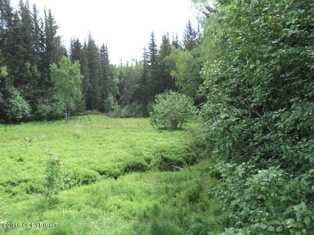 DSC08054