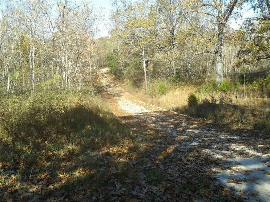 113 ac Pleasure Heights Rd, Lowell, AR 72745 - photo 1