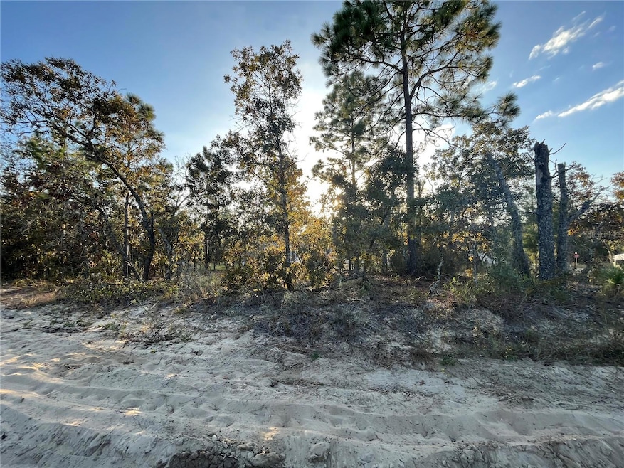 6219 Emory Ave, Keystone Heights, FL 32656 - photo 1