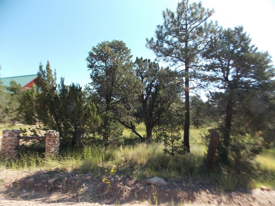 Front of lot