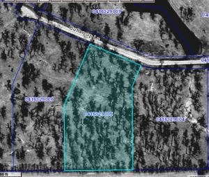 Ray's Timber Lot 5