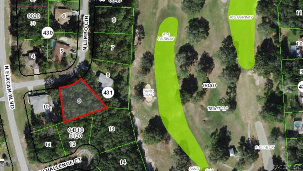 8775 N Limbo Cir, Citrus Springs, FL 34434 - photo 1