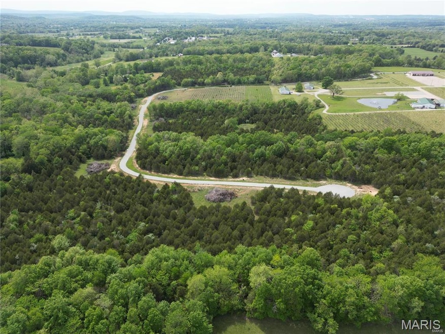View of rural area with rows of crops