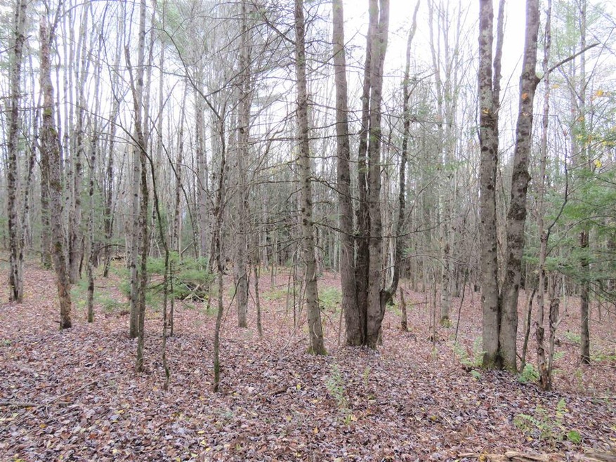 0 E Hill Rd unit 4889279, Troy, VT 05859 - photo 1