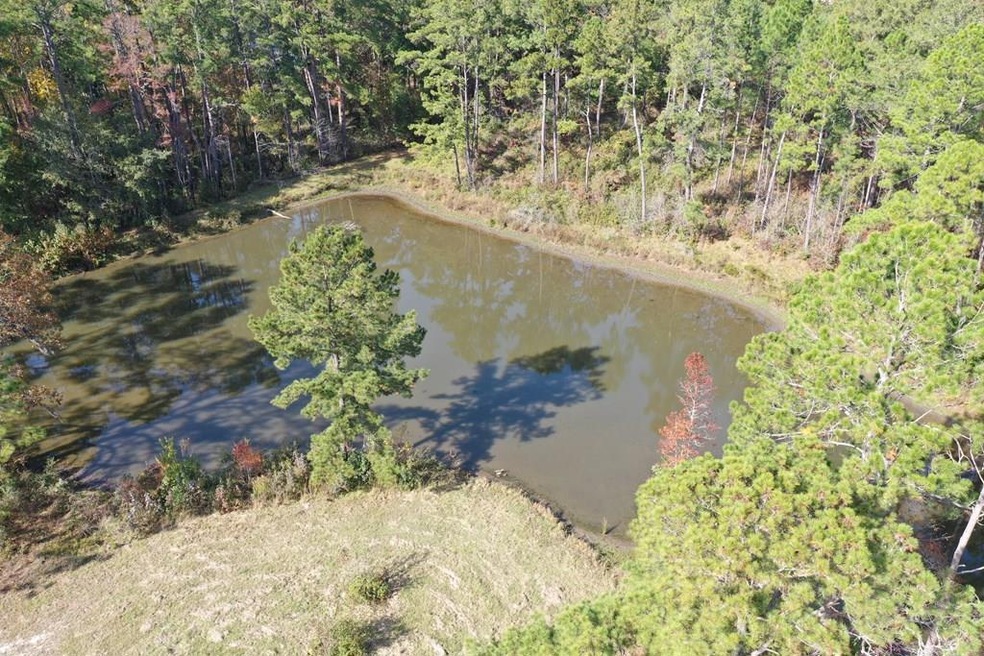 251 McDonald Rd, Thomasville, GA 31757 - photo 1