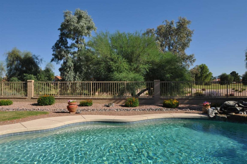 Back Yard Opens to Golf Course