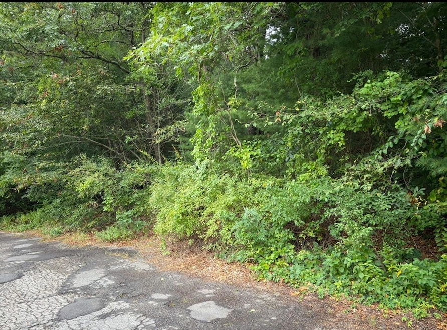 75 Bob White Run, Barnstable, MA 02635 - photo 1