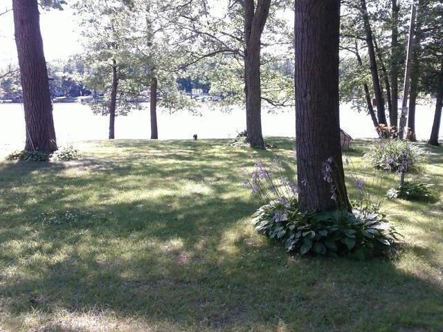 4210 Bayview Rd, Billings Township, MI 48612 - photo 1