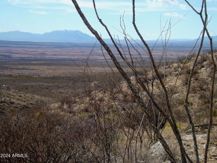 Red Mountain lot 1 06
