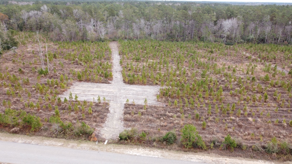 Tbd Amos Rd, Georgetown, SC 29440 - photo 1