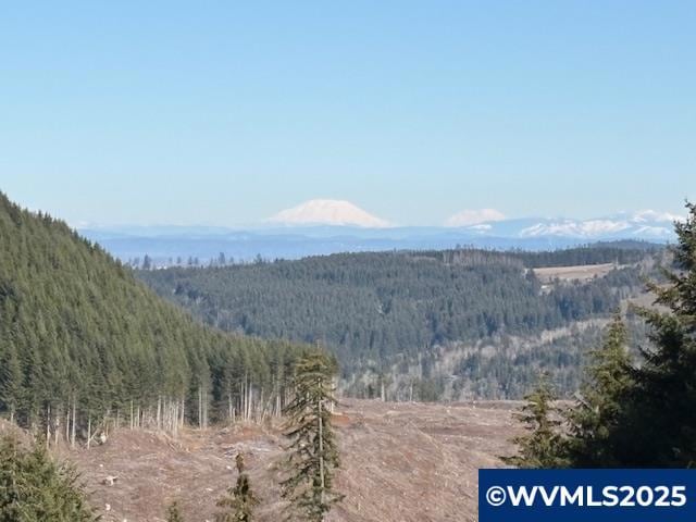 0 Powers Creek (North) Lp unit 828291, Silverton, OR 97381 - photo 1