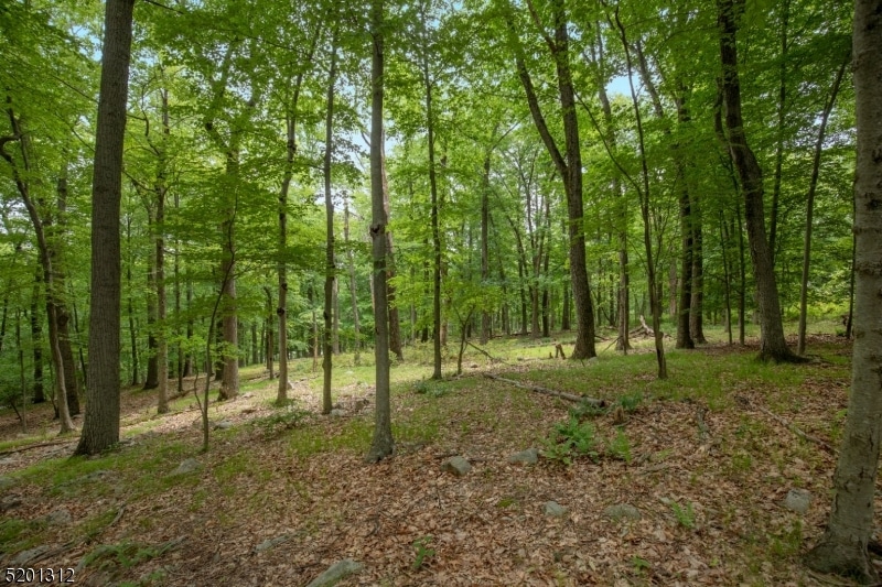 28-1 Post Kennel Rd, Far Hills, NJ 07931 - photo 1