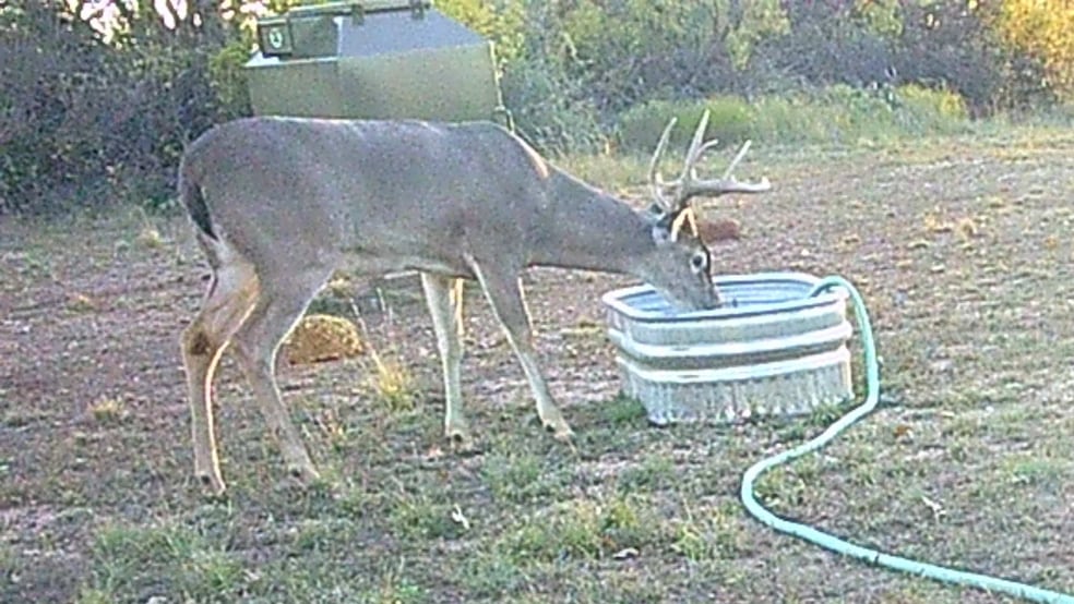 12014 B S Fm 600, Abilene, TX 79601 - photo 1