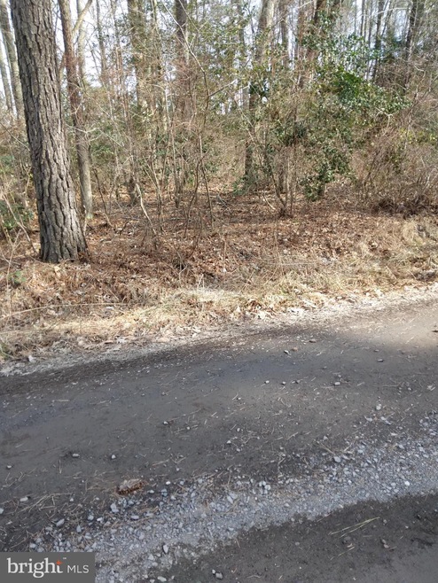 9 Woodmount Dr, Colonial Beach, VA 22443 - photo 1