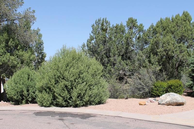 510 E Saguaro Circle, Payson, AZ 85541.J