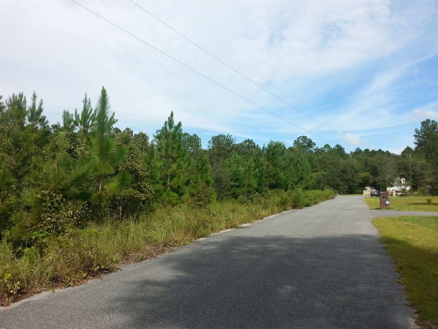 Lot 5 Decey Wallace Ln, Crawfordville, FL 32327 - photo 1