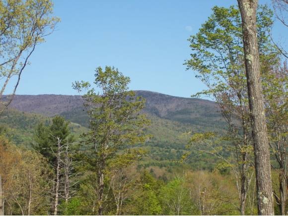 4.3 Fieldstone Way, Moultonborough, NH 03254 - photo 1