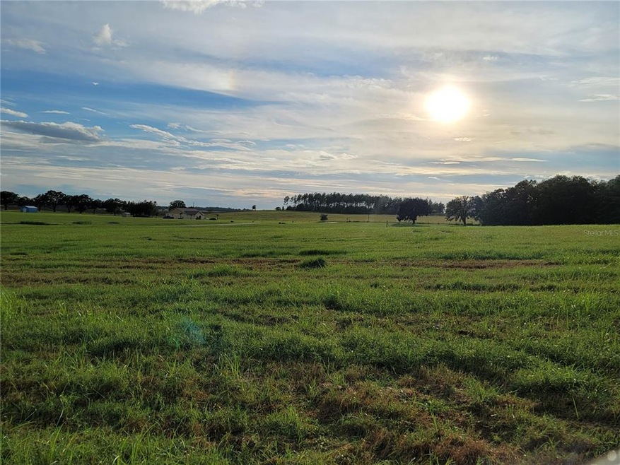 View over the property.