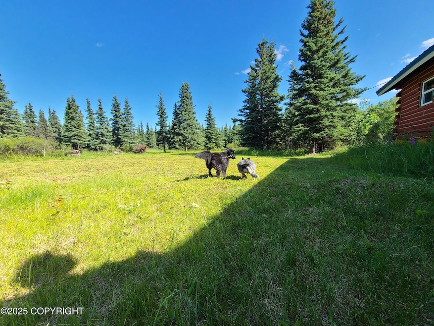 L11 B3 Tri Valley, Healy, AK 99743 - photo 1